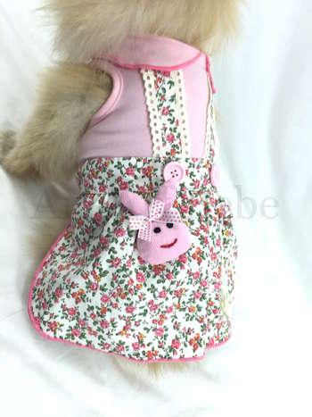 Rabbit in Rose Garden Dress